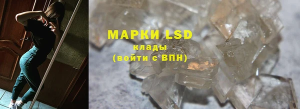 ПСИЛОЦИБИНОВЫЕ ГРИБЫ Алексеевка
