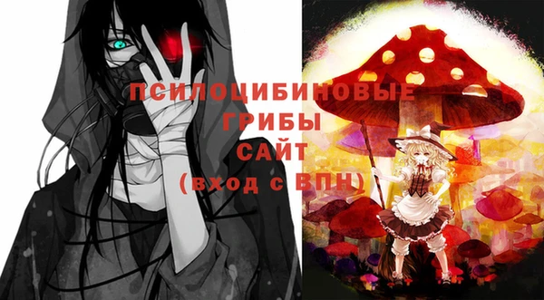 ПСИЛОЦИБИНОВЫЕ ГРИБЫ Алексеевка