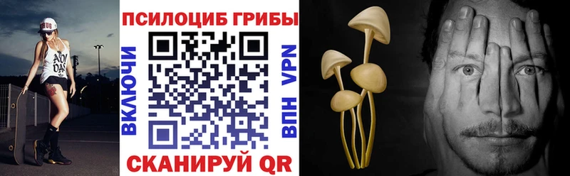 mega сайт  Малоархангельск  Галлюциногенные грибы Cubensis 